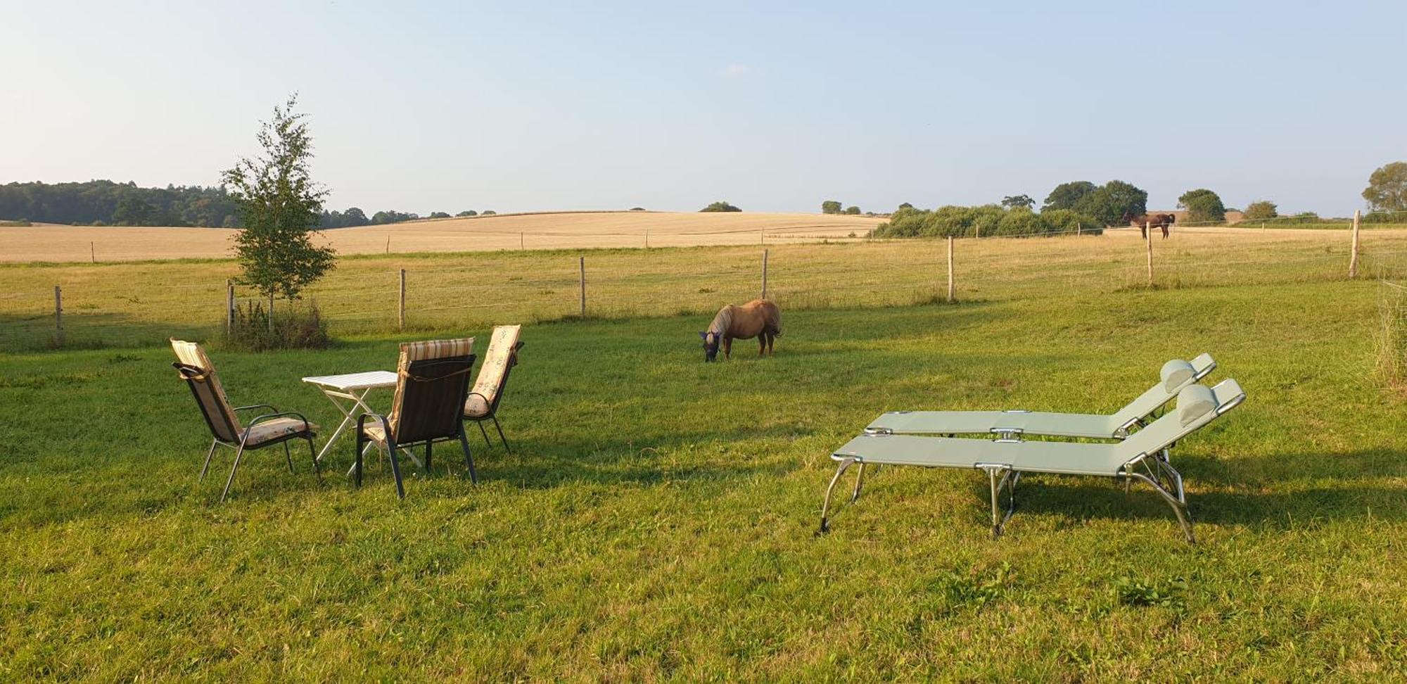 דירות Rathlau Der Kleine Fuchshof Mit Hund, Pferd Und Huhn מראה חיצוני תמונה